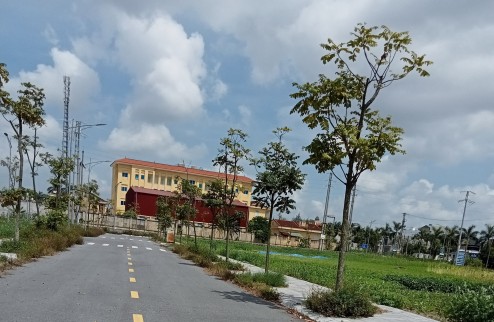 Tiền Hải Center City - dự án đất nền có vị trí đẹp nhất Tiền Hải, Thái Bình giá 17tr/m2 dt 100m2